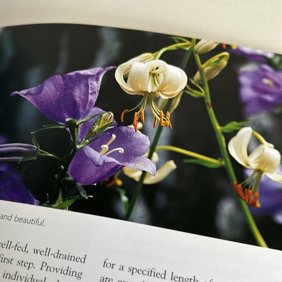 🌻4/$20 Vintage Lilies Book Softcover 2004 Edition Pamela McGeorge Firefly Books - Picture 10 of 16